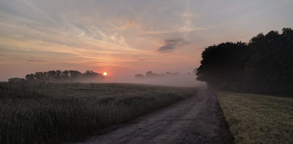 Stille ochtenduren leveringen Dekeyzer-Ossaer